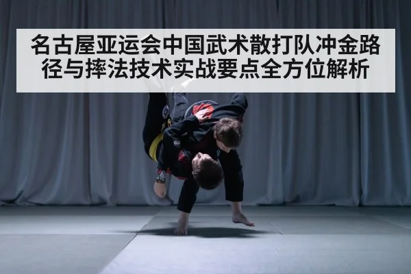 martial arts grappling throw