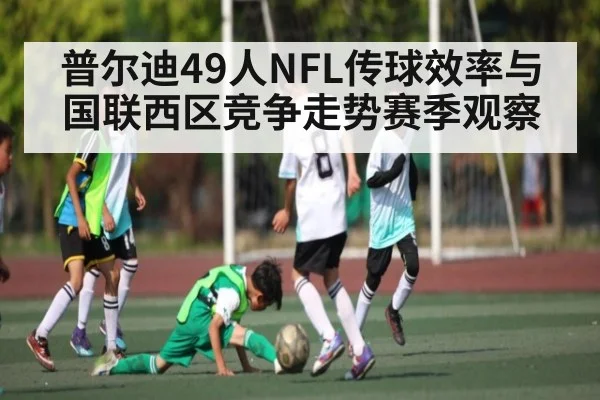 普尔迪49人NFL传球效率与国联西区竞争走势赛季观察